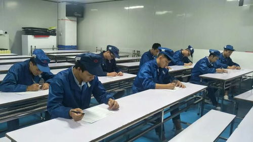 掌握職業(yè)技能，增值自我人生——第一工廠工程技術(shù)崗位評審認(rèn)證與信息技術(shù)咨詢服務(wù)解析